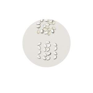 Nailstuds no. 4 silver - ovali
